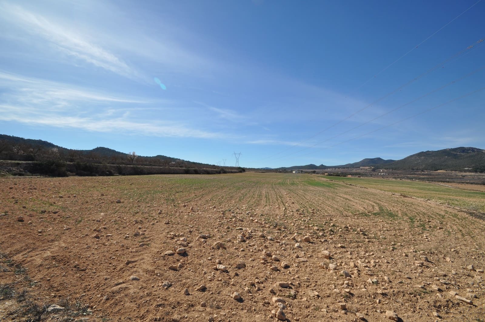 Mark till salu i Salinas - 85 495 € (Ref: 8834773)