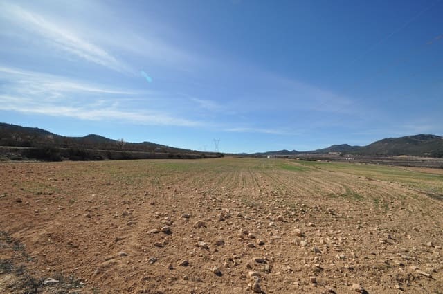 Mark till salu i Salinas - 85 495 € (Ref: 8834773)