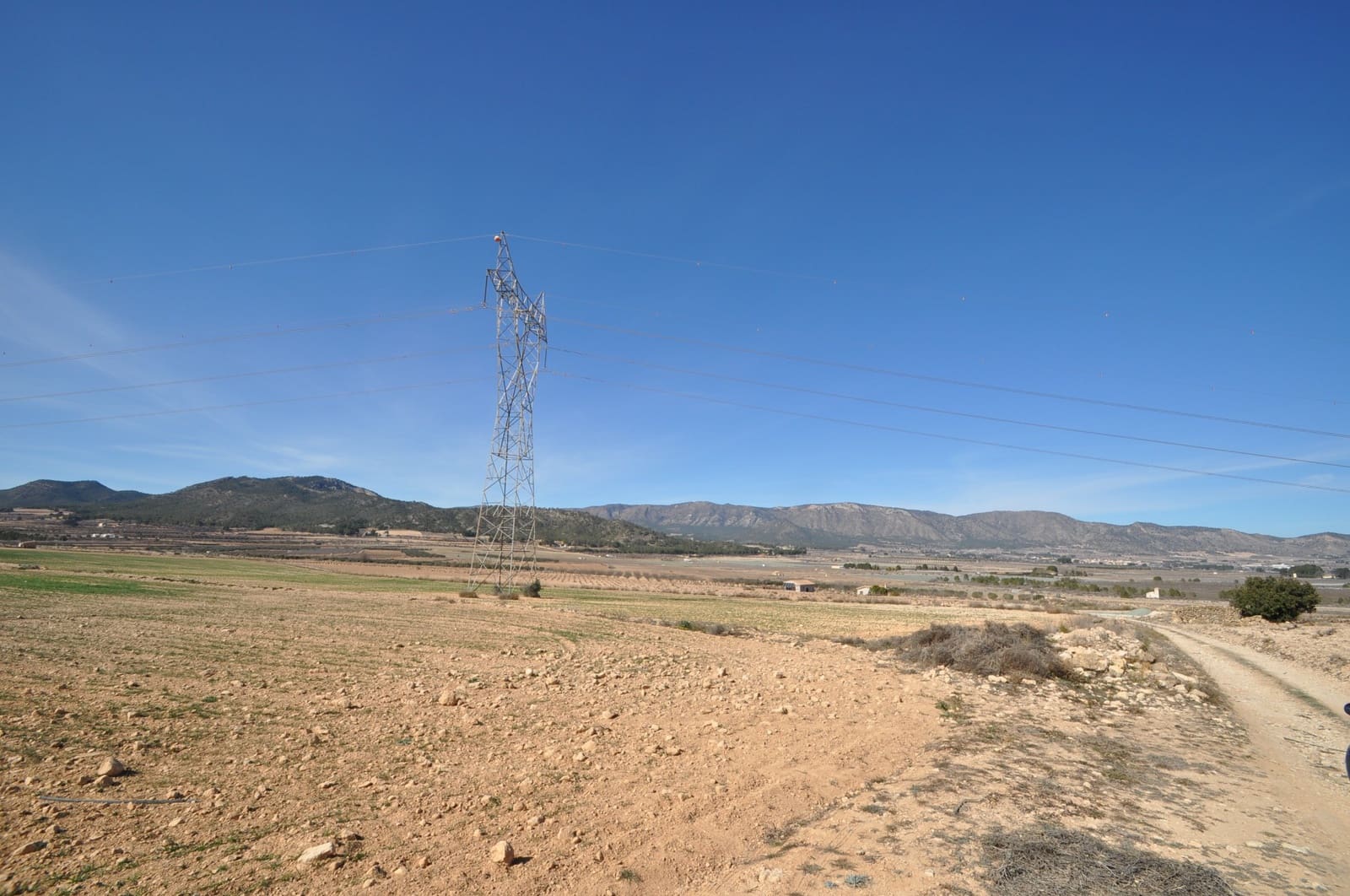 Mark till salu i Salinas - 85 495 € (Ref: 8834773)