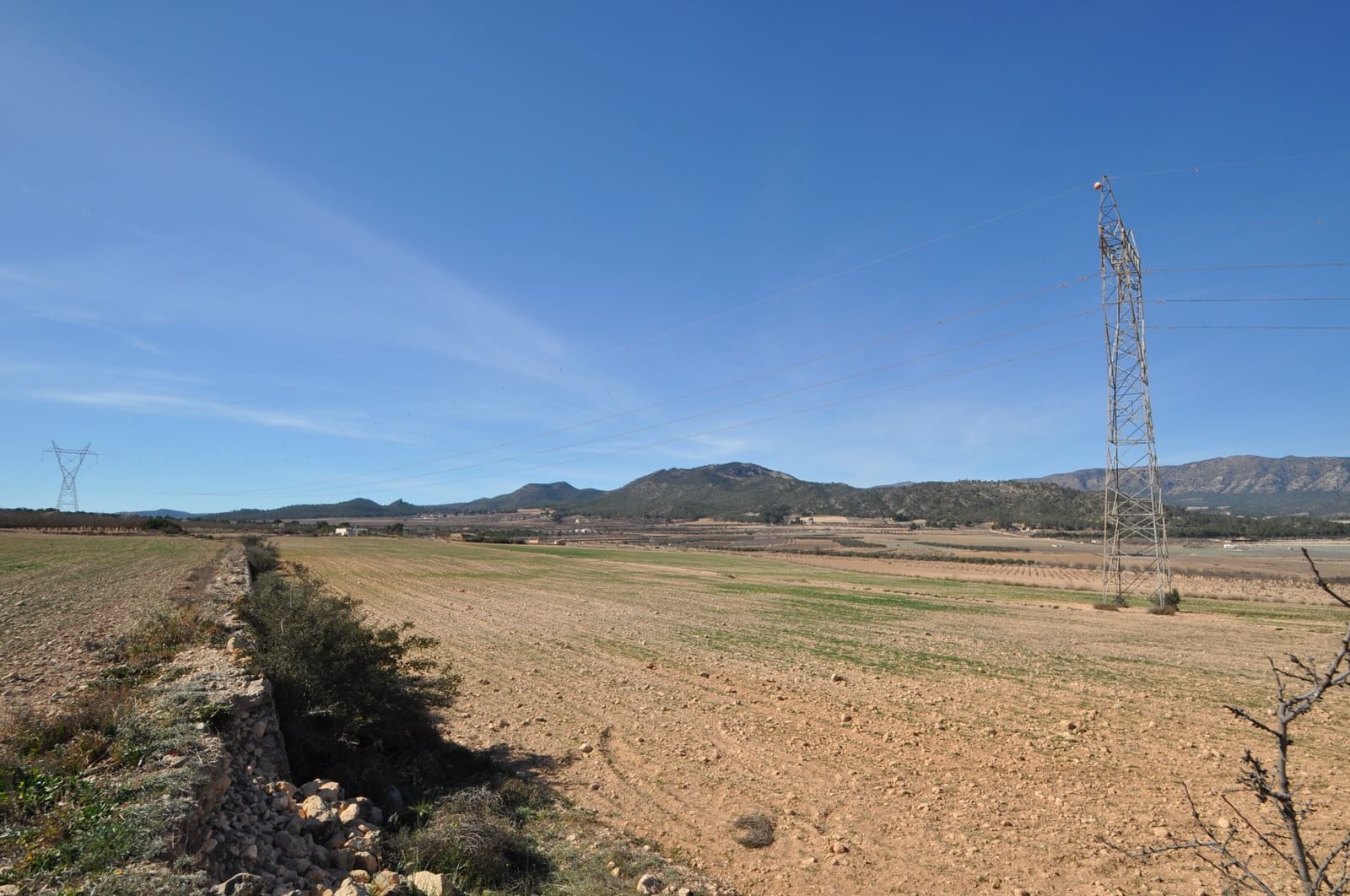 Mark till salu i Salinas - 85 495 € (Ref: 8834773)