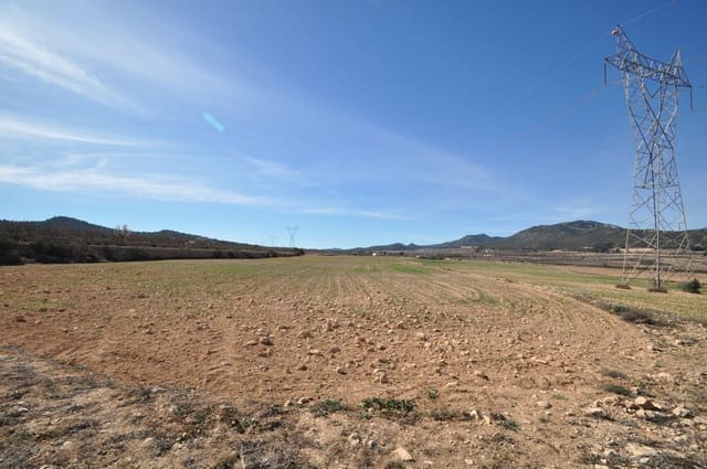 Mark till salu i Salinas - 85 495 € (Ref: 8834773)