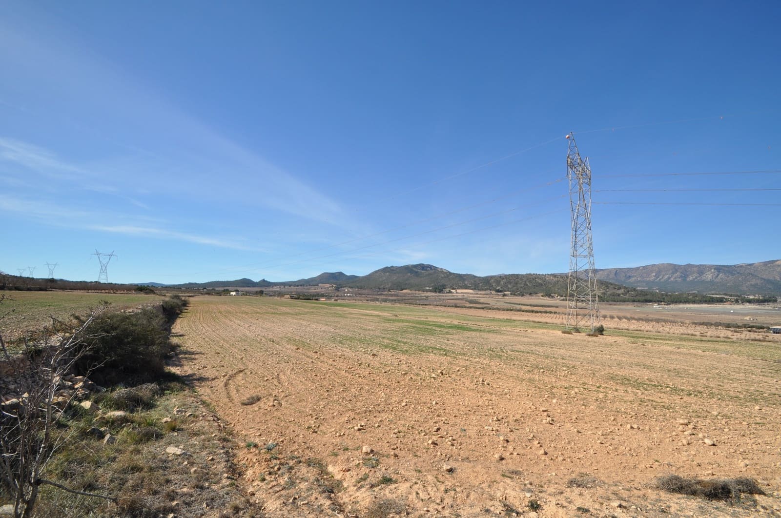 Mark till salu i Salinas - 85 495 € (Ref: 8834773)