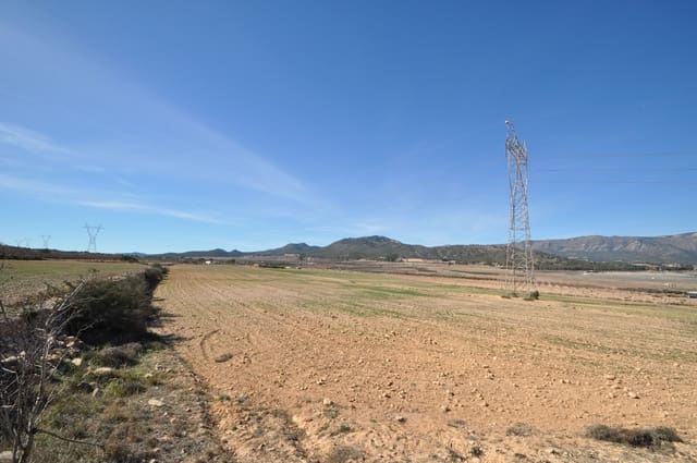 Mark till salu i Salinas - 85 495 € (Ref: 8834773)