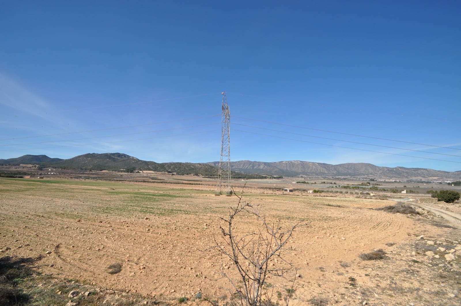 Terreno Non Edificato in vendita in Salinas - 85.495 € (Rif: 8834773)
