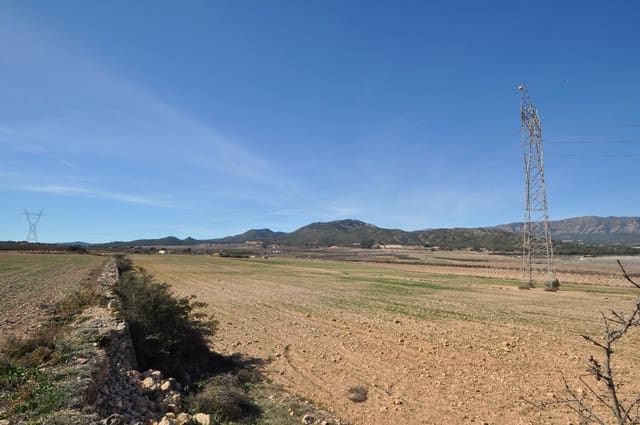Undeveloped Land for sale in Salinas - € 85,495 (Ref: 8834773)