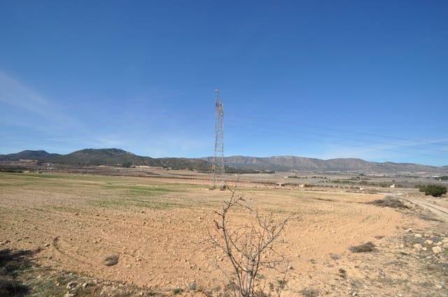 Undeveloped Land for sale in Salinas - € 85,495 (Ref: 8834773)