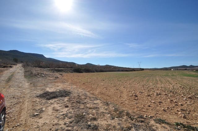 Undeveloped Land for sale in Salinas - € 85,495 (Ref: 8834773)
