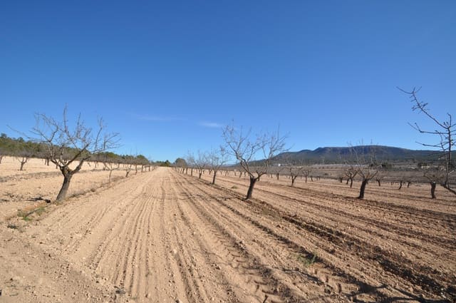 Undeveloped Land for sale in Monóvar / Monóver - € 56,995 (Ref: 8834774)