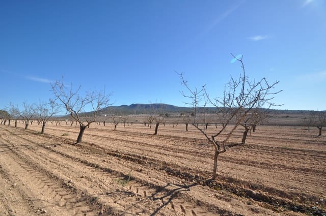 Undeveloped Land for sale in Monóvar / Monóver - € 56,995 (Ref: 8834774)