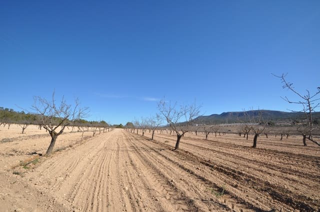 Undeveloped Land for sale in Monóvar / Monóver - € 56,995 (Ref: 8834774)