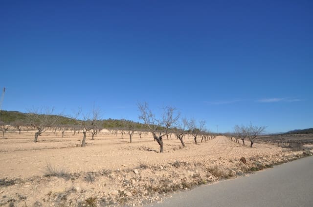 Undeveloped Land for sale in Monóvar / Monóver - € 56,995 (Ref: 8834774)