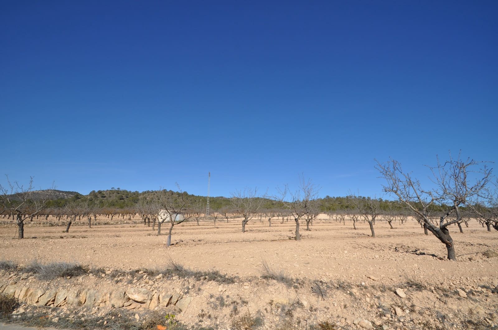 Mark till salu i Monovar / Monover - 56 995 € (Ref: 8834774)