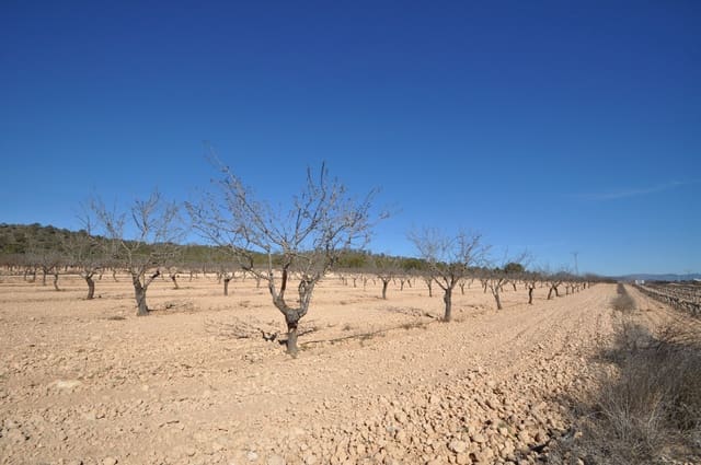 Undeveloped Land for sale in Monóvar / Monóver - € 56,995 (Ref: 8834774)