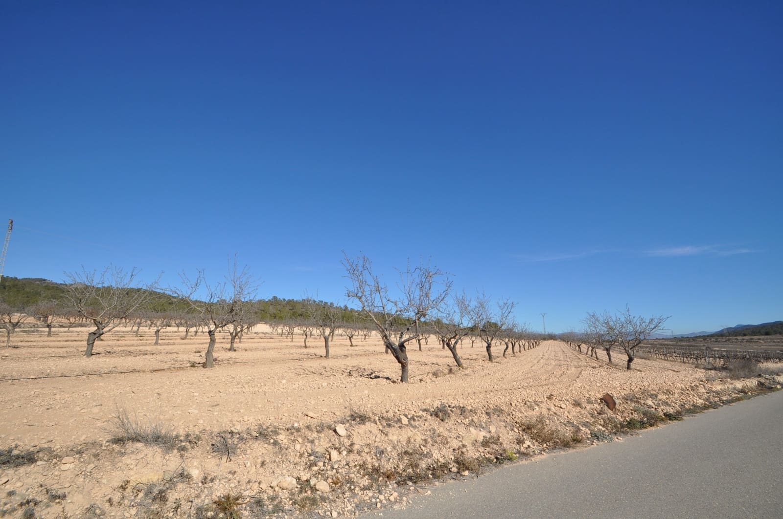 Terreno Non Edificato in vendita in Monovar / Monover - 56.995 € (Rif: 8834774)