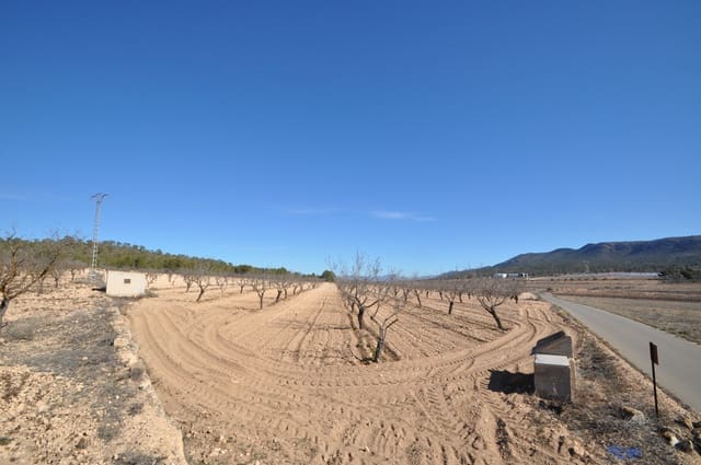 Undeveloped Land for sale in Monóvar / Monóver - € 56,995 (Ref: 8834774)