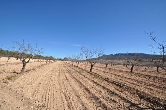 Undeveloped Land for sale in Monóvar / Monóver - € 56,995 (Ref: 8834774)