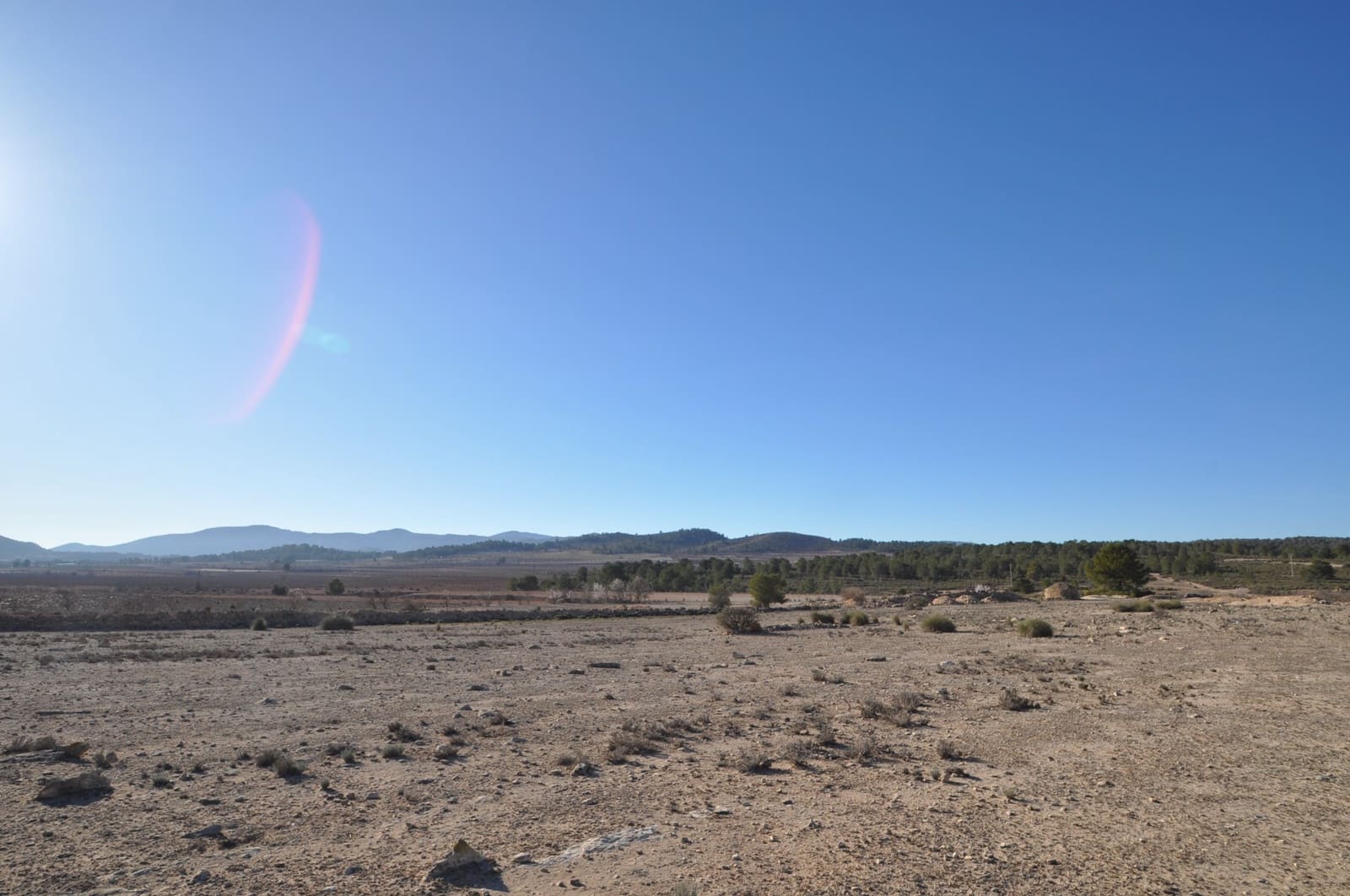 Ubebygd land til salgs i Pinoso - € 39 995 (Ref: 8834776)