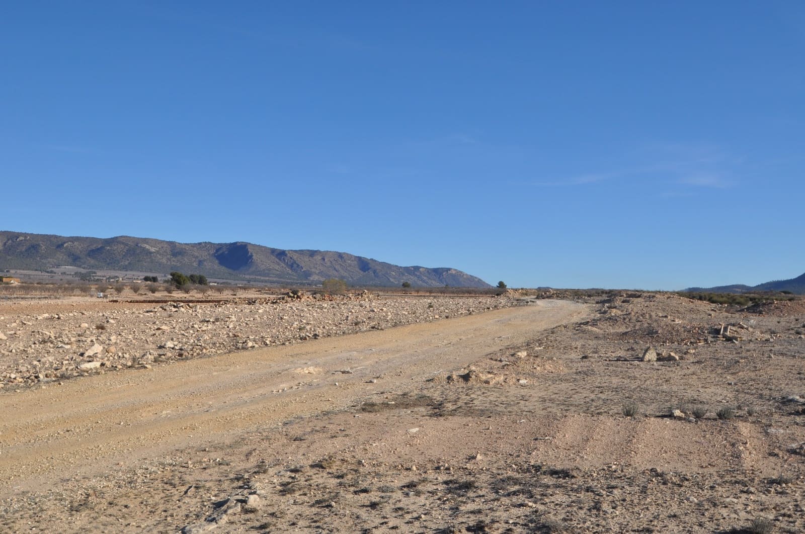 Ubebygd land til salgs i Pinoso - € 39 995 (Ref: 8834776)