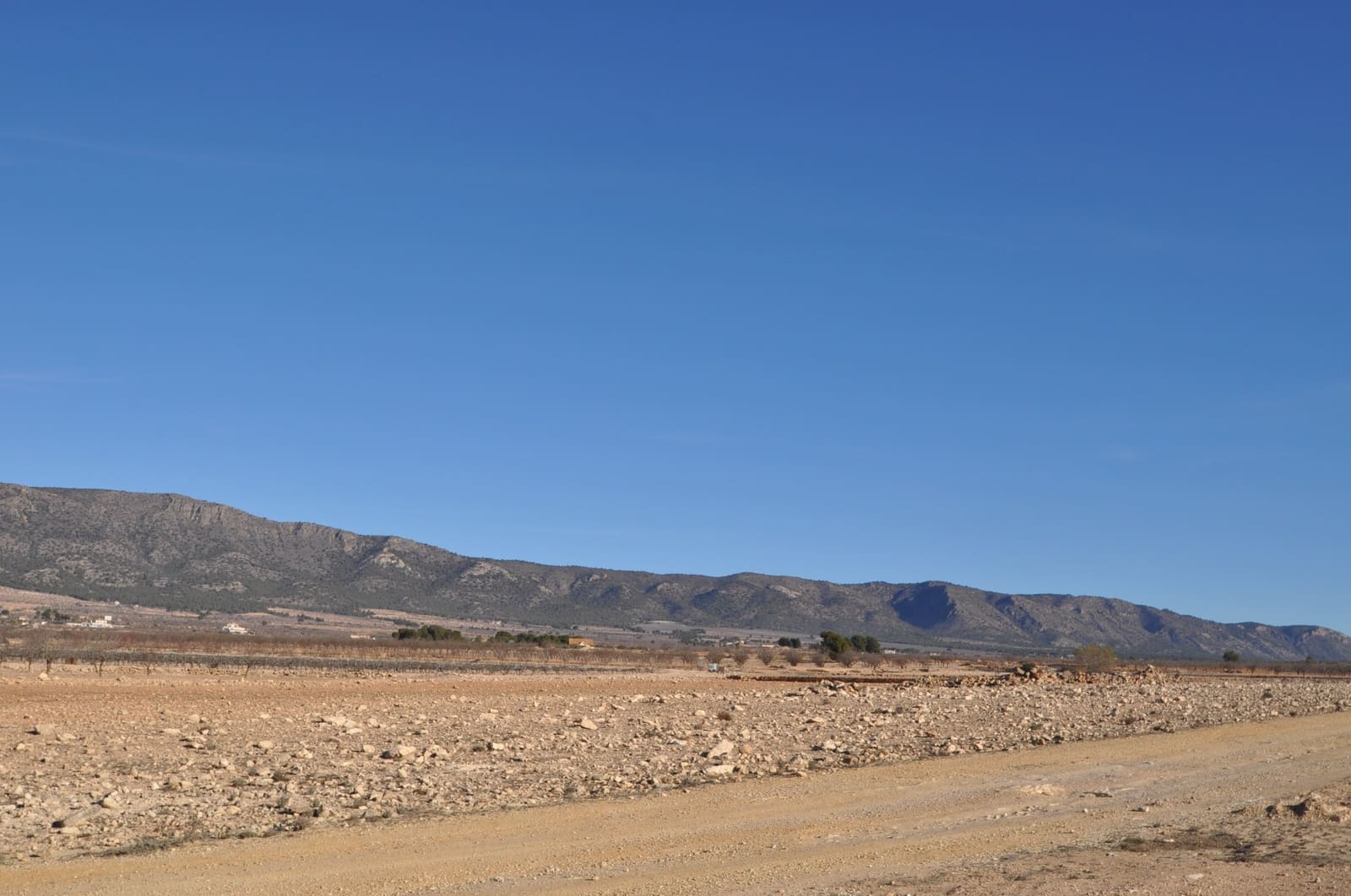 Ubebygd land til salgs i Pinoso - € 39 995 (Ref: 8834776)