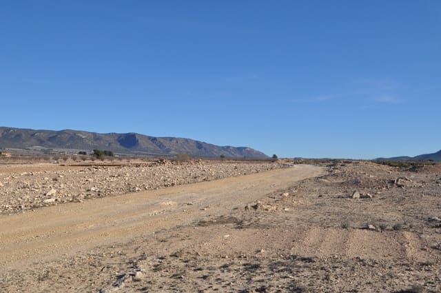 Landgrundstück zu verkaufen in Pinoso - 39.995 € (Ref: 8834776)