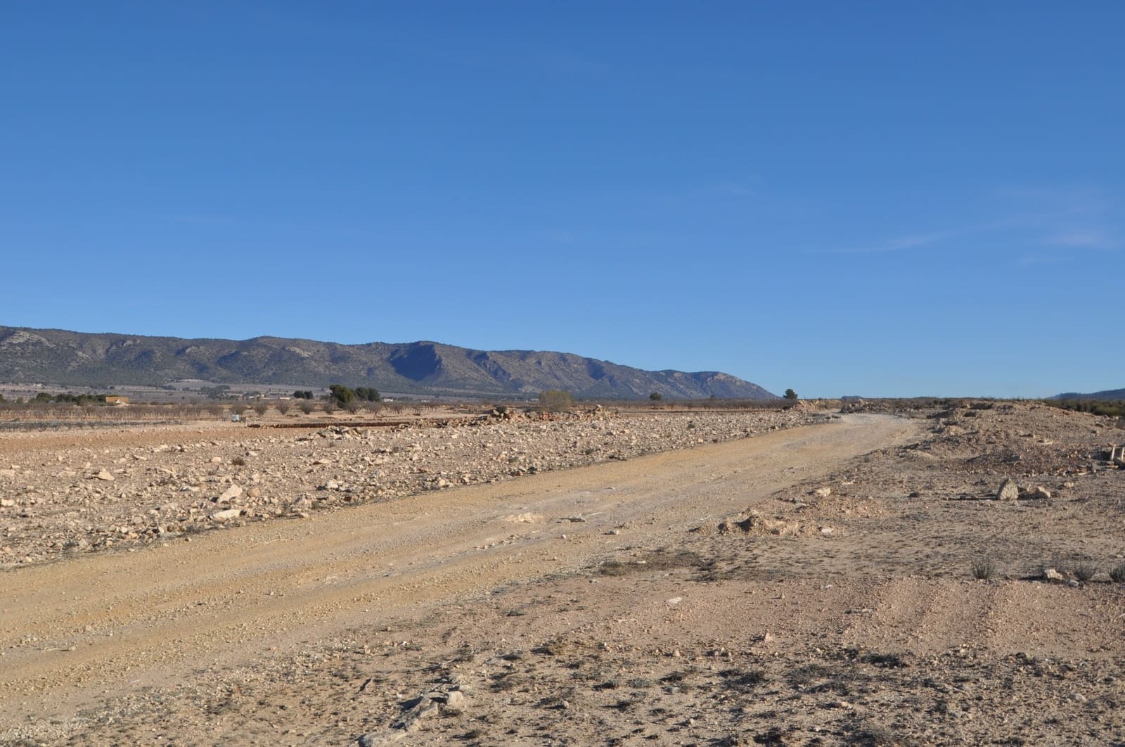 Ubebygd land til salgs i Pinoso - € 39 995 (Ref: 8834776)