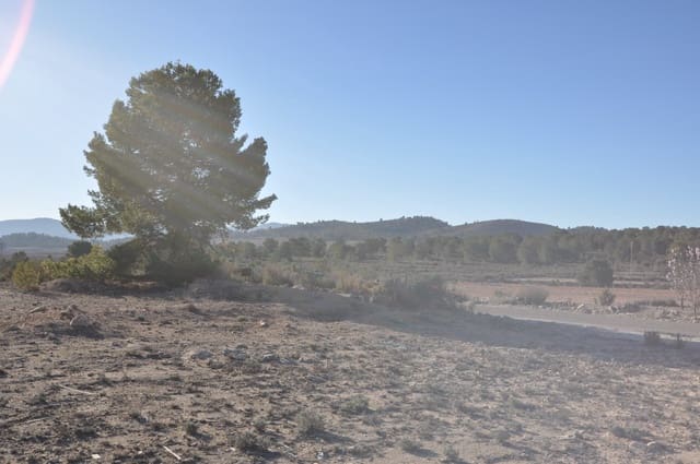 Landgrundstück zu verkaufen in Pinoso - 39.995 € (Ref: 8834776)