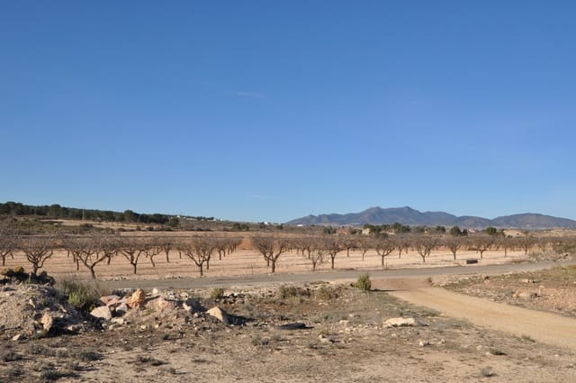 Landgrundstück zu verkaufen in Pinoso - 39.995 € (Ref: 8834776)