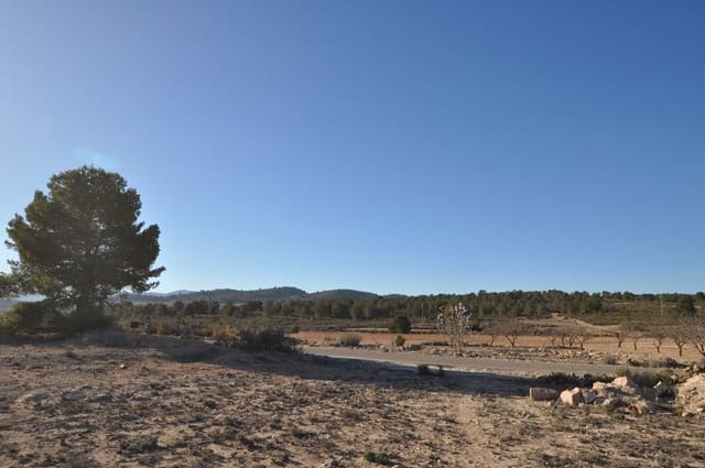 Landgrundstück zu verkaufen in Pinoso - 39.995 € (Ref: 8834776)