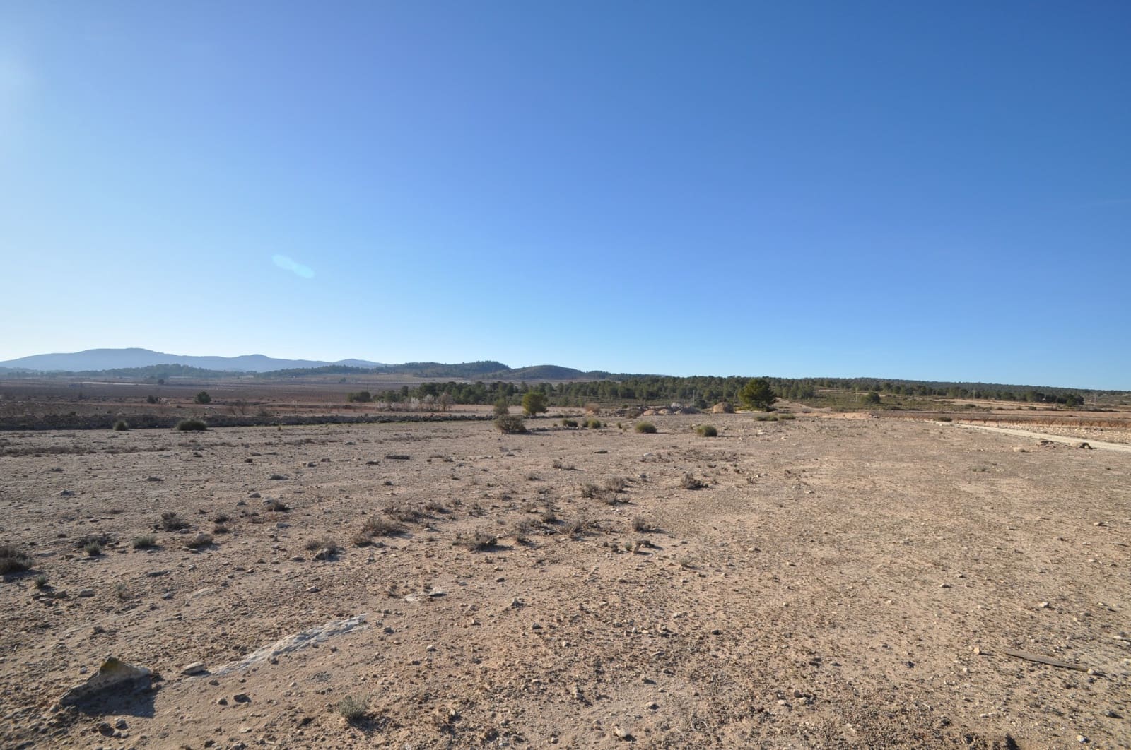 Ubebygd land til salgs i Pinoso - € 39 995 (Ref: 8834776)