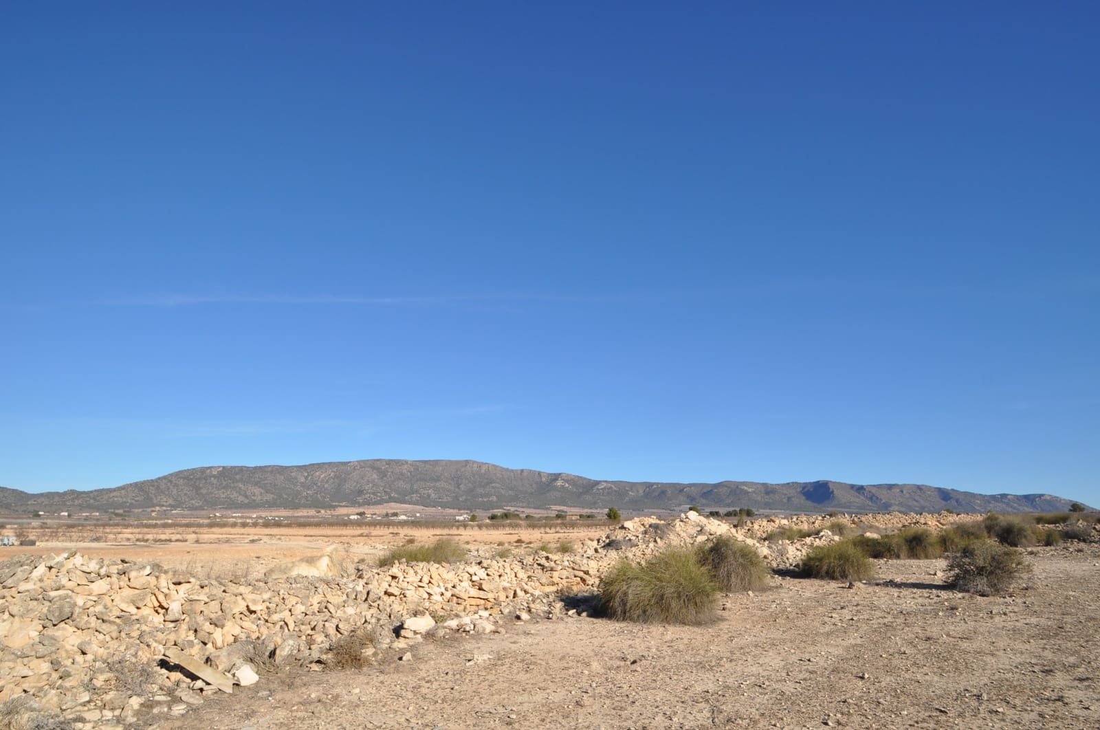 Ubebygd land til salgs i Pinoso - € 39 995 (Ref: 8834776)