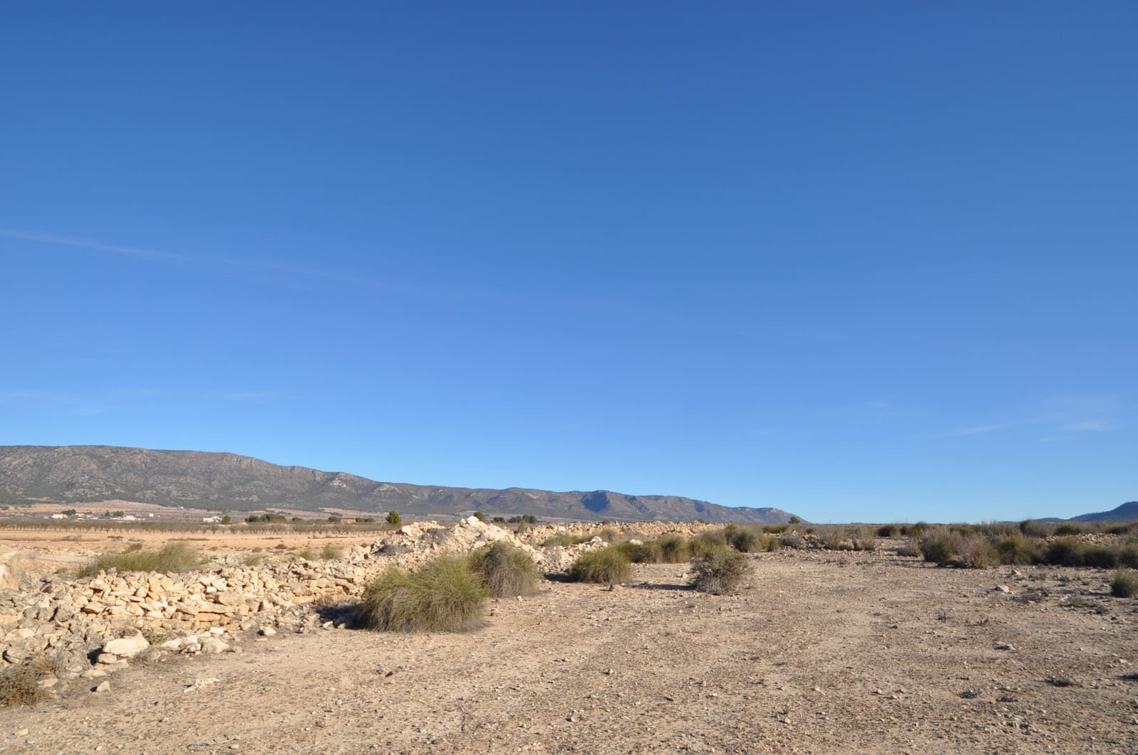 Ubebygd land til salgs i Pinoso - € 39 995 (Ref: 8834776)