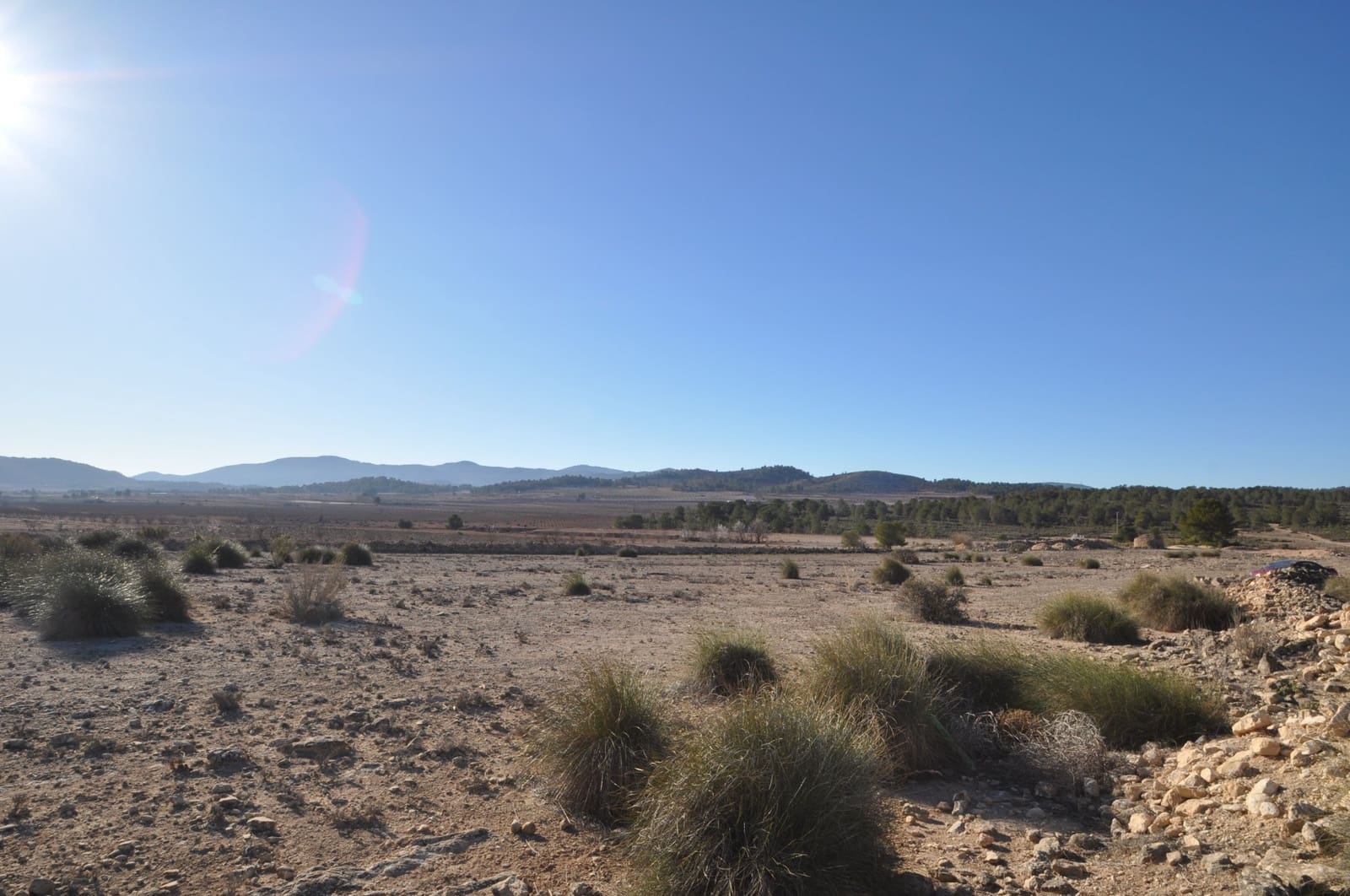 Ubebygd land til salgs i Pinoso - € 39 995 (Ref: 8834776)