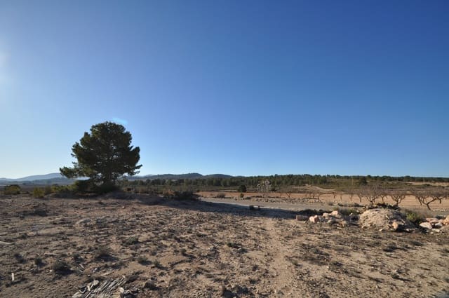 Landgrundstück zu verkaufen in Pinoso - 39.995 € (Ref: 8834776)