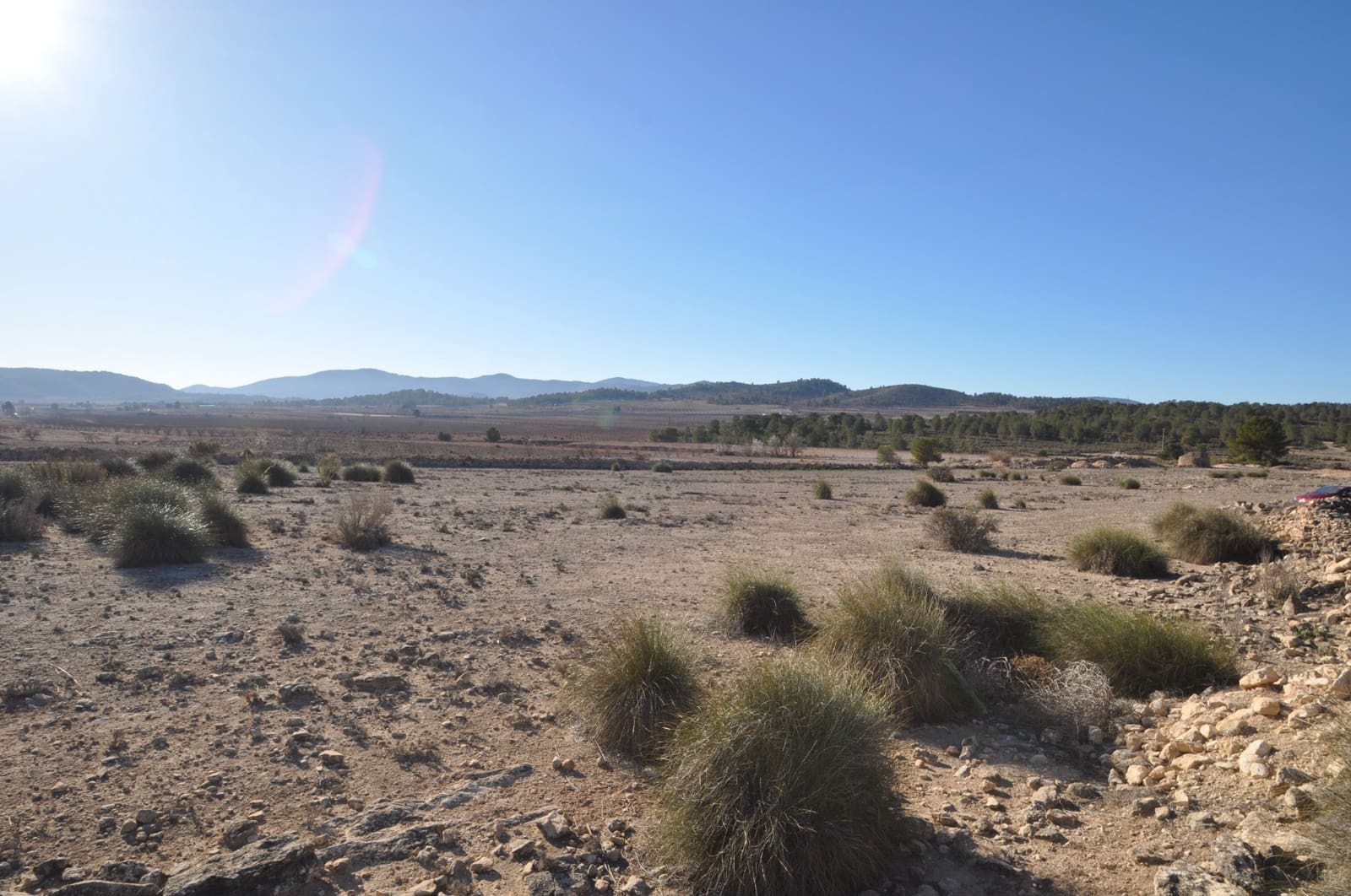 Ubebygd land til salgs i Pinoso - € 39 995 (Ref: 8834776)