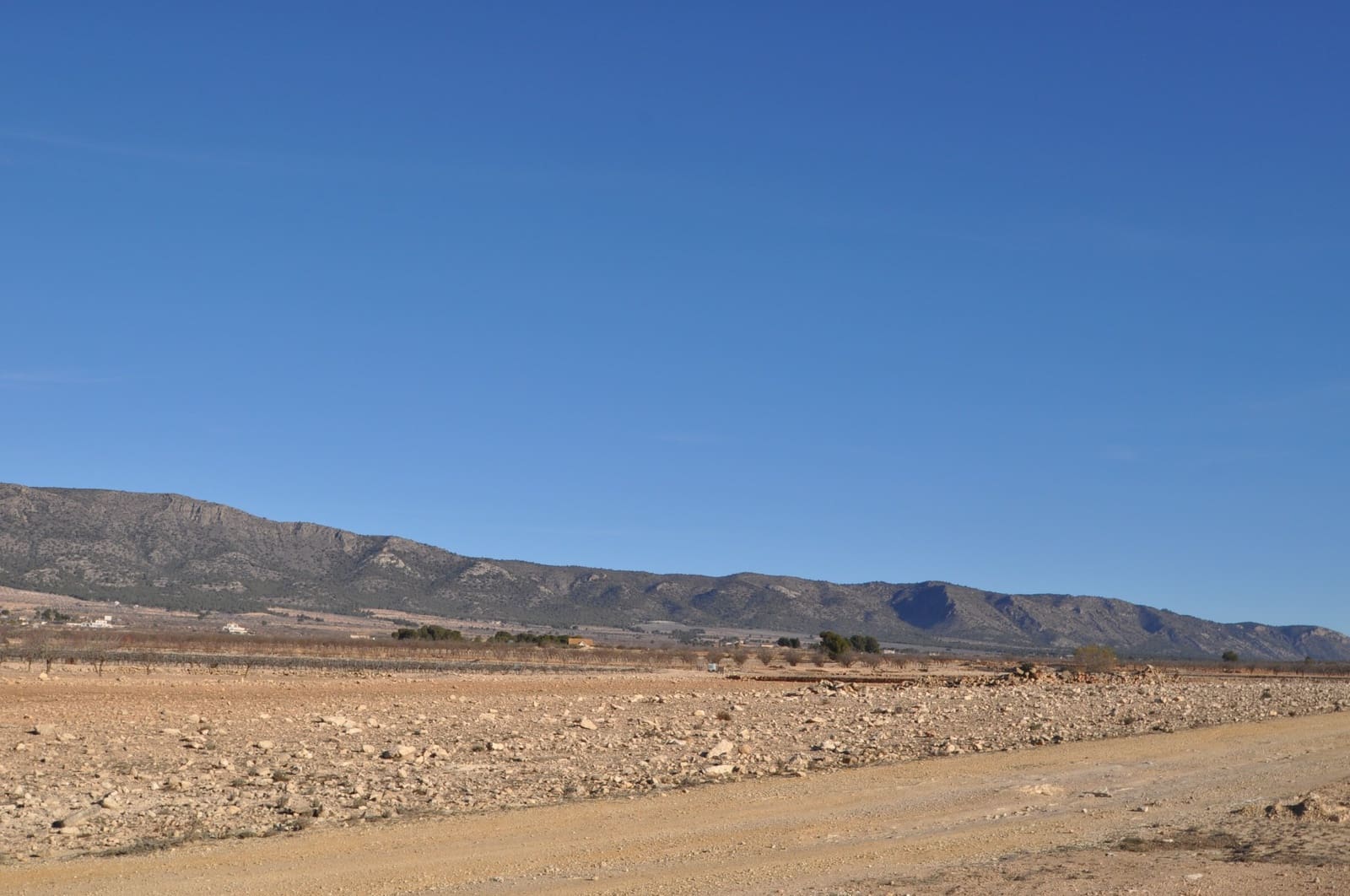 Landgrundstück zu verkaufen in Pinoso - 39.995 € (Ref: 8834776)