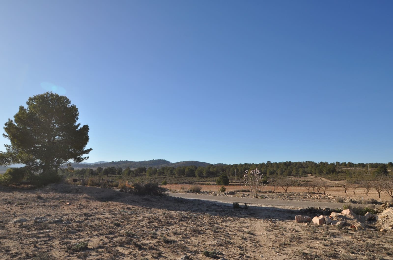 Landgrundstück zu verkaufen in Pinoso - 39.995 € (Ref: 8834776)