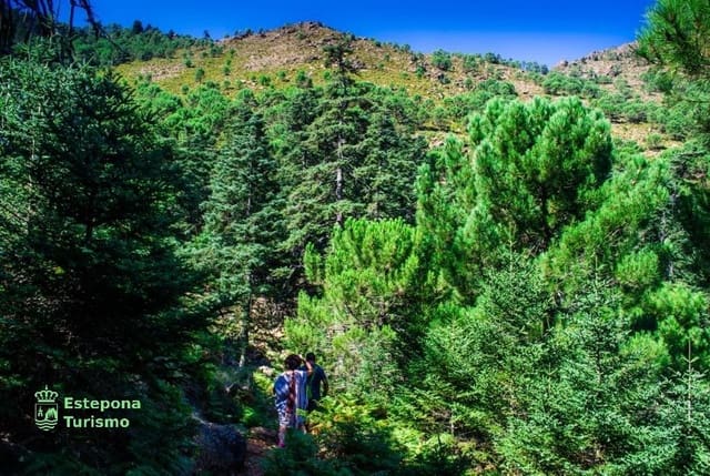 3 soverom Penthouse til salgs i Estepona med svømmebasseng garasje - € 782 700 (Ref: 8834813)