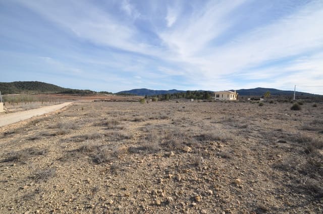 Grond te koop in Pinoso - € 14.500 (Ref: 8834870)