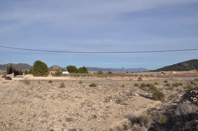 Grond te koop in Pinoso - € 14.500 (Ref: 8834870)