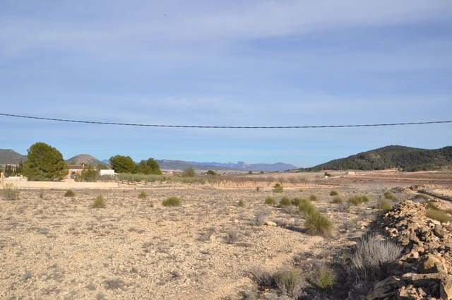 Grond te koop in Pinoso - € 14.500 (Ref: 8834870)