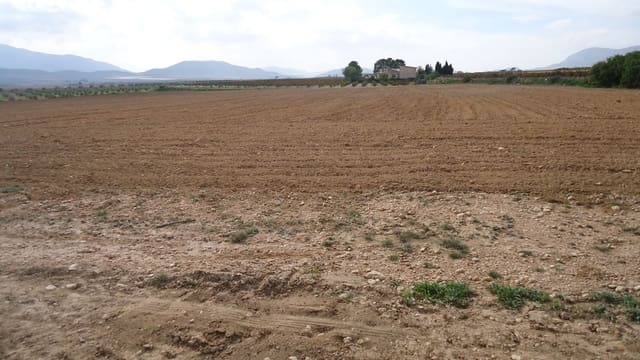 Ubebygd land til salgs i Yecla - € 28 900 (Ref: 8834888)