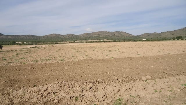 Grond te koop in Yecla - € 28.900 (Ref: 8834888)