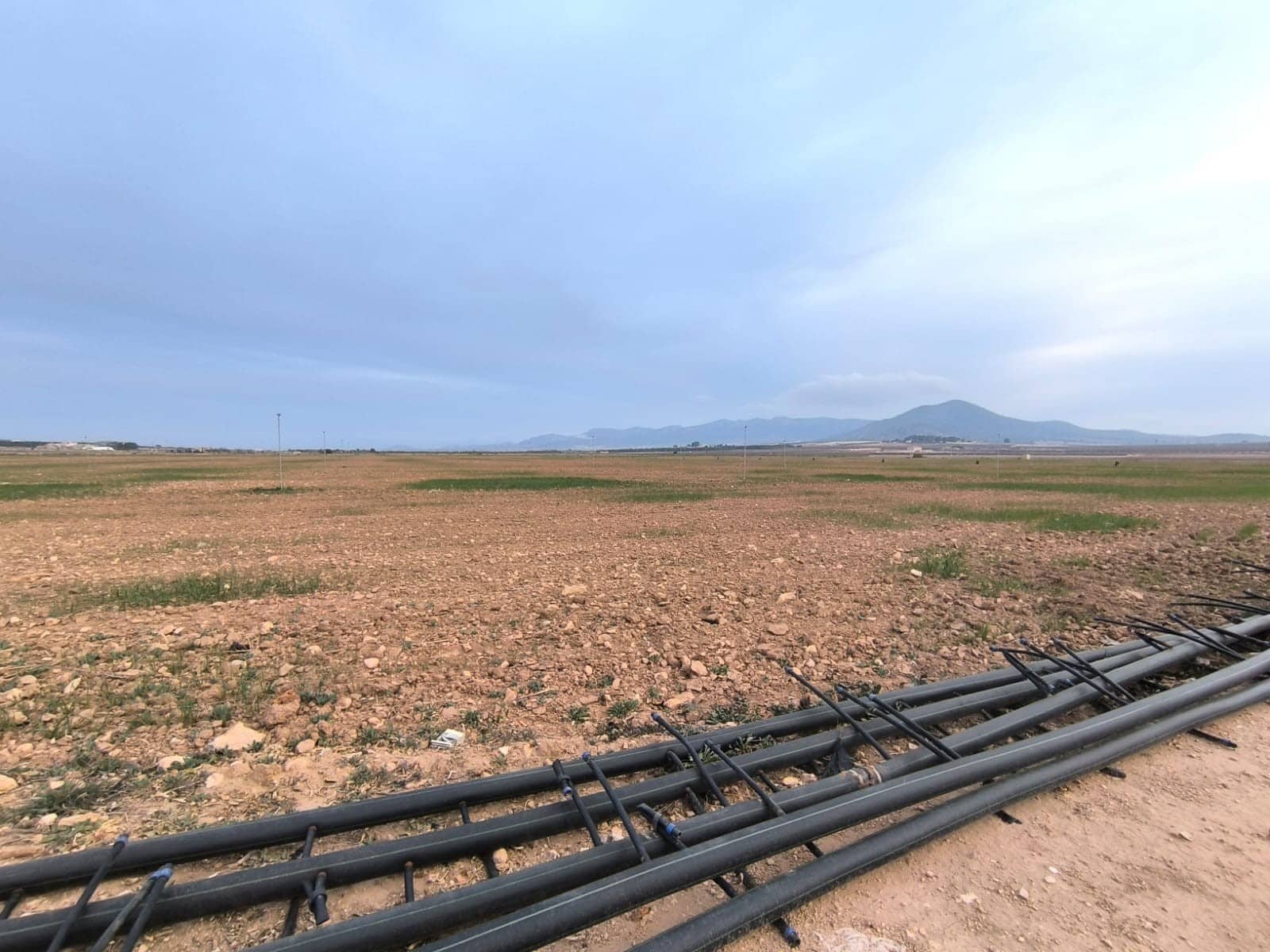 Undeveloped Land for sale in Yecla - € 209,500 (Ref: 8845949)