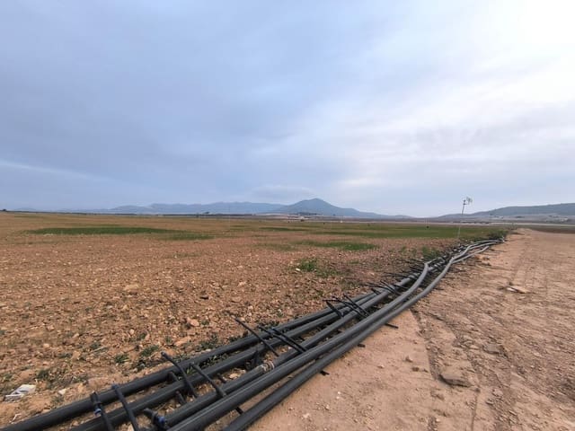 Undeveloped Land for sale in Yecla - € 209,500 (Ref: 8845949)