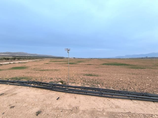 Ubebygd land til salgs i Yecla - € 219 500 (Ref: 8845949)