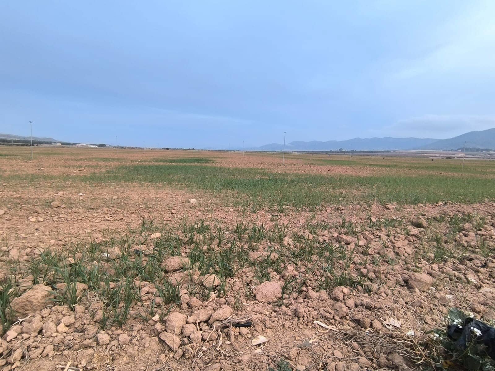 Undeveloped Land for sale in Yecla - € 209,500 (Ref: 8845949)