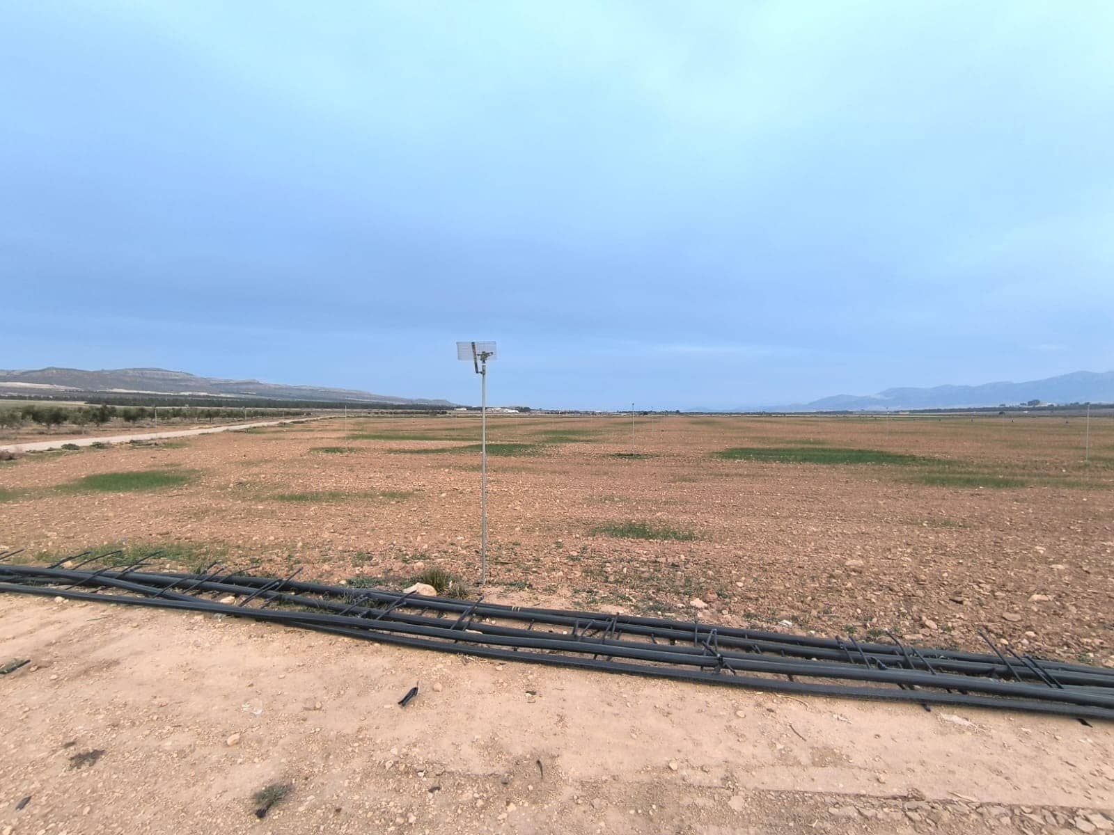 Terre non Aménagée à vendre à Yecla - 209 500 € (Ref: 8845949)
