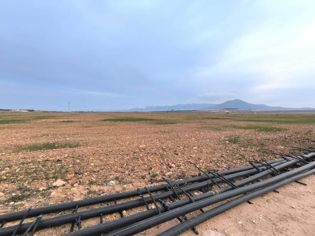 Terre non Aménagée à vendre à Yecla - 209 500 € (Ref: 8845949)