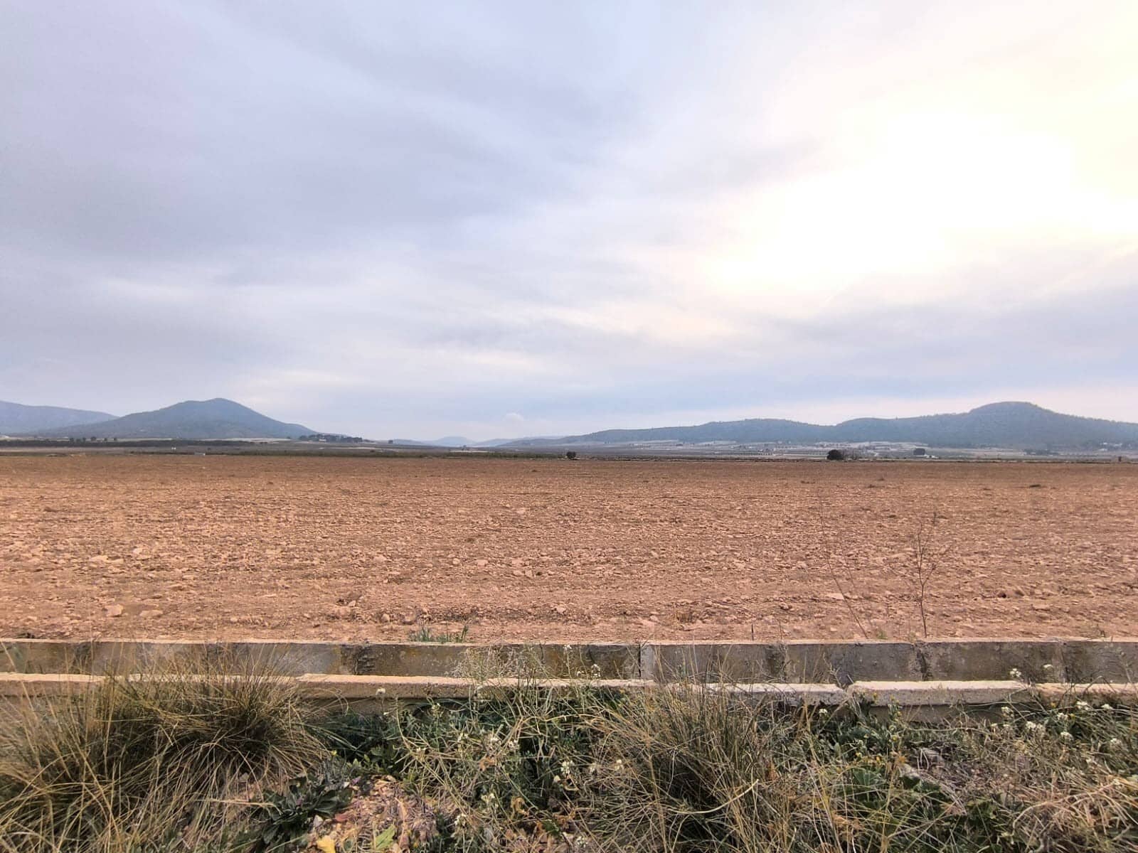 Terre non Aménagée à vendre à Yecla - 93 500 € (Ref: 8845950)