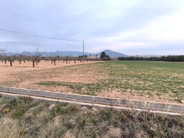 Ubebygd land til salgs i Yecla - € 29 999 (Ref: 8845951)